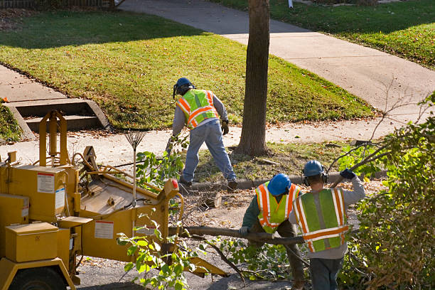 Lawn Pest Prevention in Grant, NE